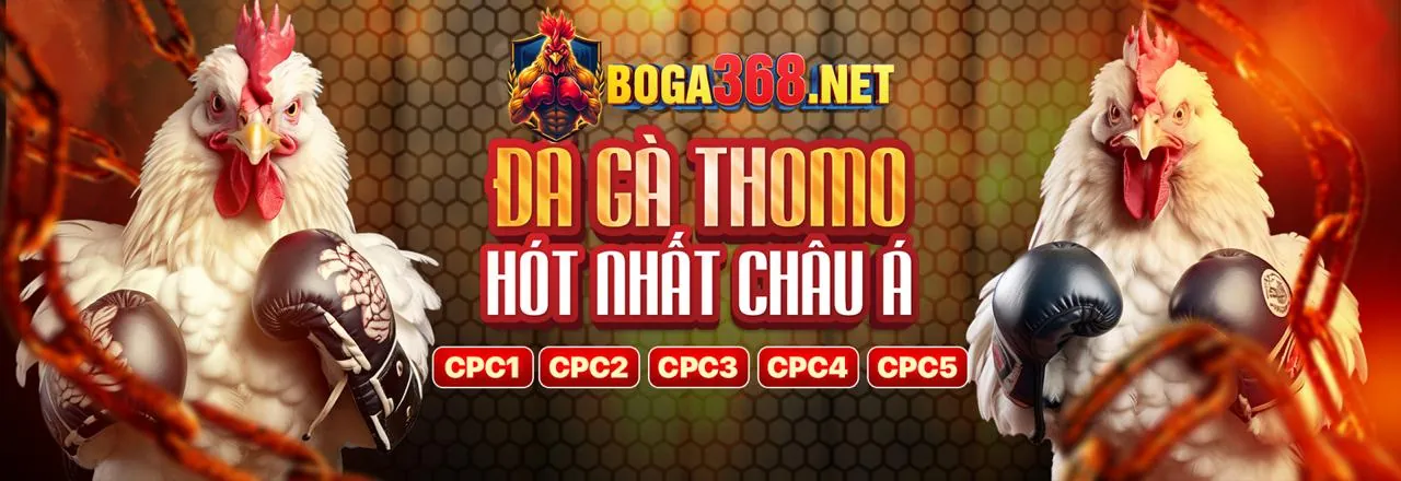 Hình ảnh tổng quan về Mig8 Casino với các biểu tượng bảo mật và uy tín